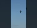 Old Twin Star doing it thing in the air. #aviationgeek #rcplane #rcplanesdaily