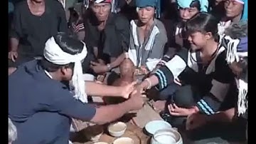 Đám Cưới Truyền Thống Raglai | Aikachoa Official