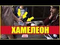 САМЫЙ ЭФФЕКТНЫЙ КАРТОЧНЫЙ ФОКУС | ХАМЕЛЕОН | ОБУЧЕНИЕ