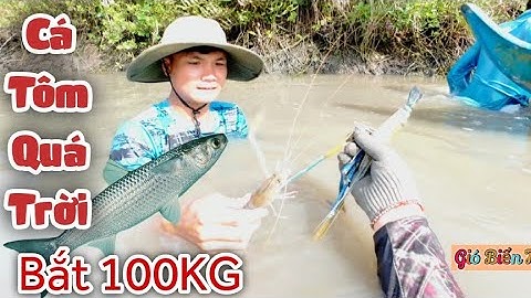 Mò Cá Đói Khủng,Tôm Càng Xanh Hơn 100 Ký Quá Đã Tay