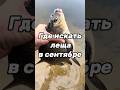 Лучшие советы по ловле леща в сентябре 🎣
