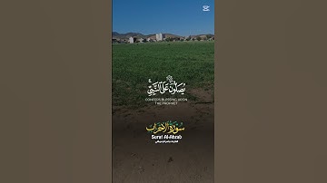 #القرآن_الكريم #المصحف #تلاوات #راحة_نفسية #لايك #صلوا_على_النبي