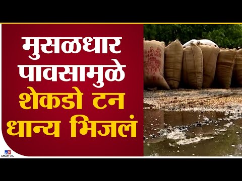 Nagpur Rain Nuksan | काल रात्रीच्या मुसळधार पावासामुळे शेकडो टन धान्य भिजले