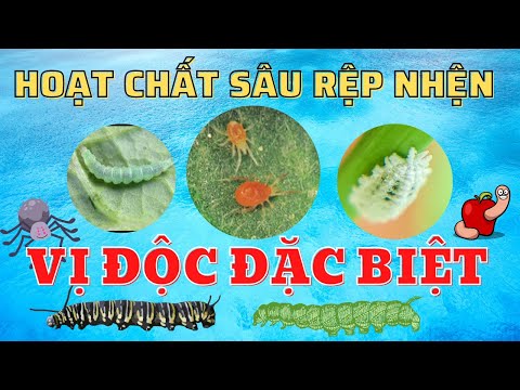 Video Hoạt chất sâu rệp nhện | Tác động vị độc đặc biệt |... - youtube