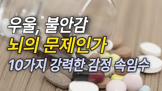 우울 불안감 부정적 감정 탈출하기 | 필링그레이트 | 우울증 책추천 | 조이의 서재