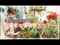 【VLOG】加藤家流 秋の模様替えツアー!!