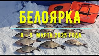 Ловля леща на коромысло зимой. Рыбалка на Белоярском водохранилище 8-9 марта 2025г.