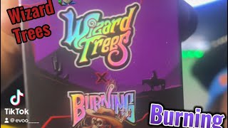 Wizard Trees X Burning Rope Strain Review