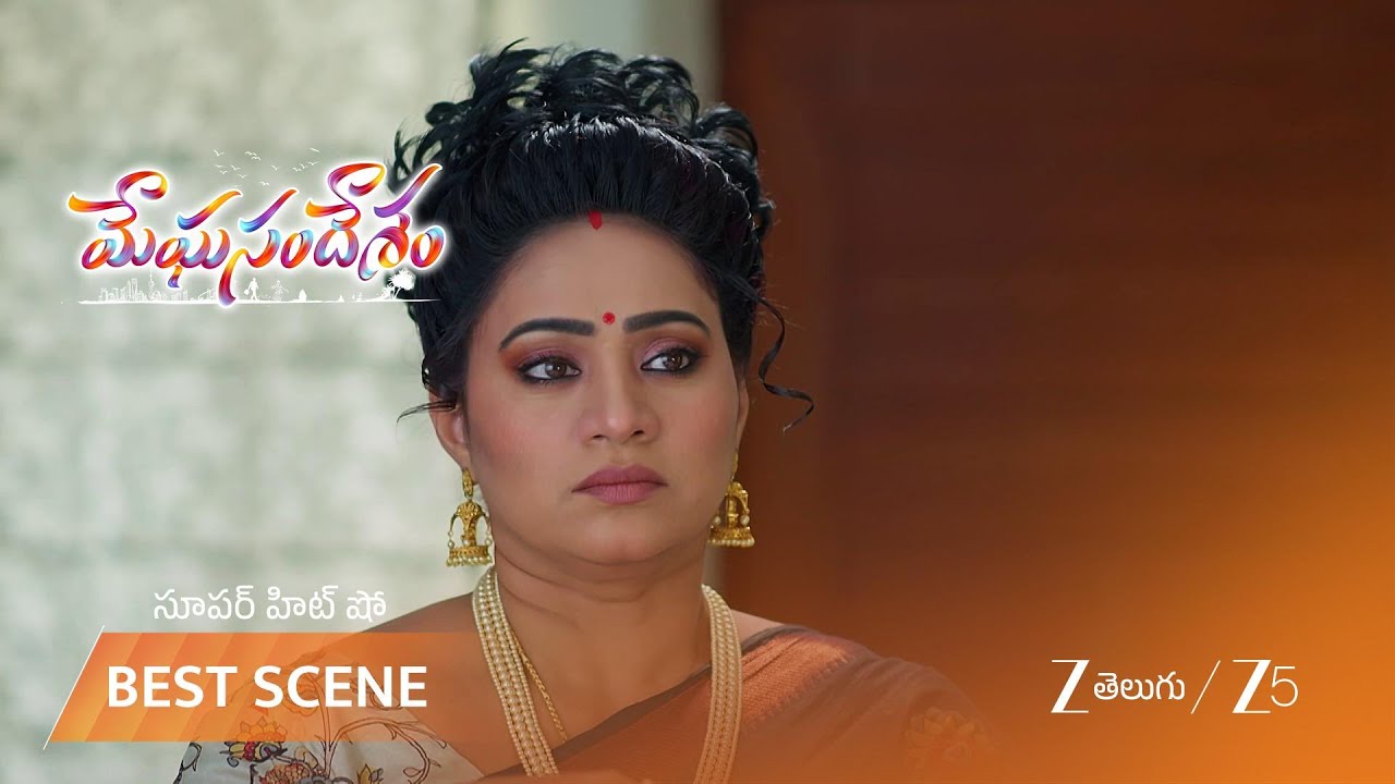 MEGHASANDESAM | మీరా ని చంపడానికి వచ్చిన ఆ మహిళ ఎవరు?