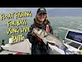 Uk bass fishing with floats  live mackerel  includes how to guide to float fishing setup fishing