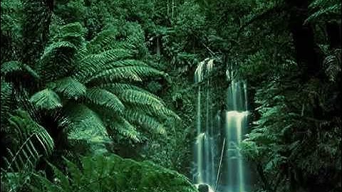 روائع القراء - إبراهيم الجبرين/ سورة الأنبياء "كامله"