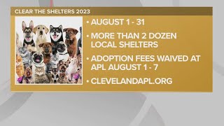 Clear the Shelters 2023: The Cleveland Animal Protective League