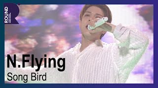 [ROUND Festival] N.Flying - Song Bird