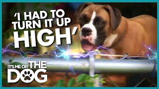 Dog Traumatised by Electric Fence  | It's Me or the Dog