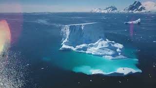 Sea Surface Temperature and Coral Bleaching: A Global Perspective