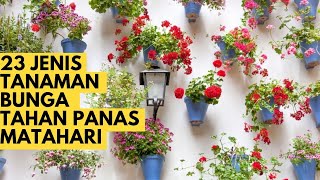 24 Tanaman Hias Bunga Tahan Panas Matahari