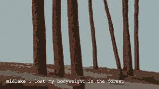 Midlake - I Lost My Bodyweight In The Forest