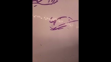 Bury a friend |lip sync test animation | (The revolution oc).