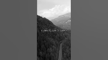 مقطع قرآن قصير بصوت القارئ: ياسر الدوسري || أجمل حالات واتس اب دينيه || تلاوة خاشعة😴🎧