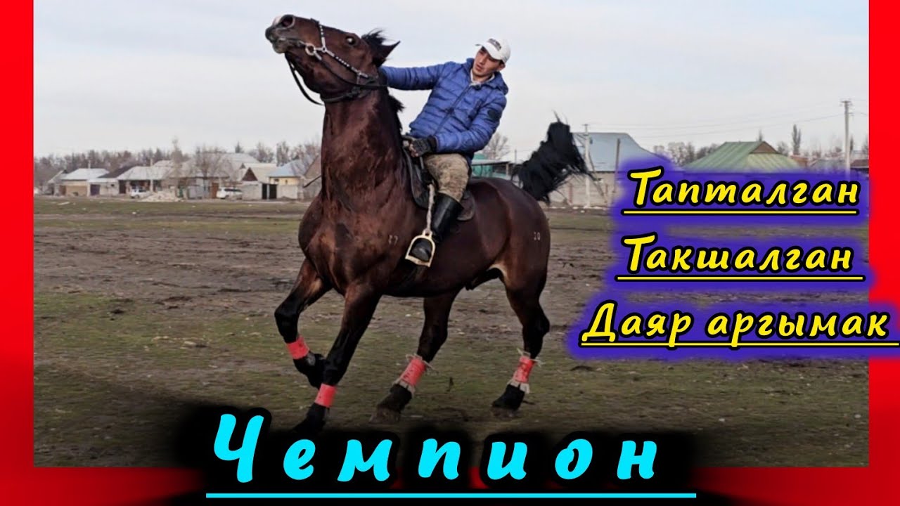 Чемпиондун линиясына барат дейт 💥