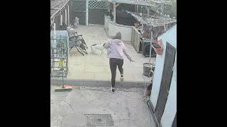 Woman Trips While Carrying Her Baby