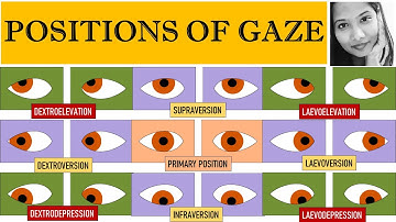 Diagnostic & Cardinal Positions of Gaze | Squint Simplified For Medical Students