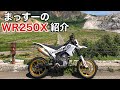 【愛車紹介】まっすーのWR250Xモタード!