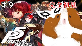 【#9ペルソナ配信】モルモット、ニートな女の子救います。【ペルソナ5 ザ・ロイヤル: P5R】