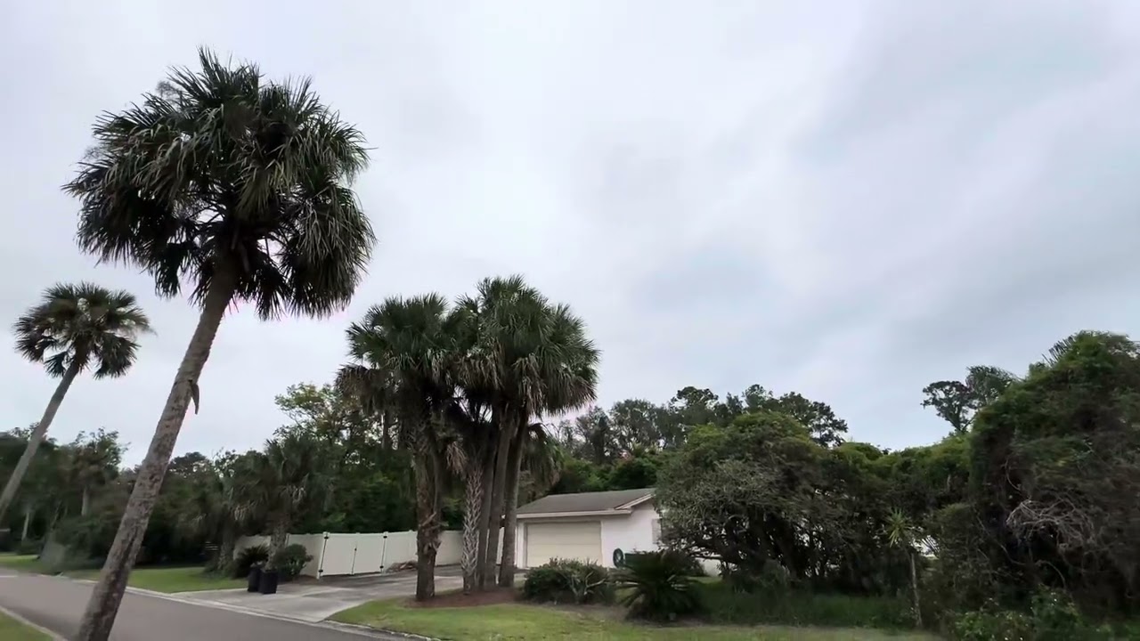 Blue Angels Jax 2024