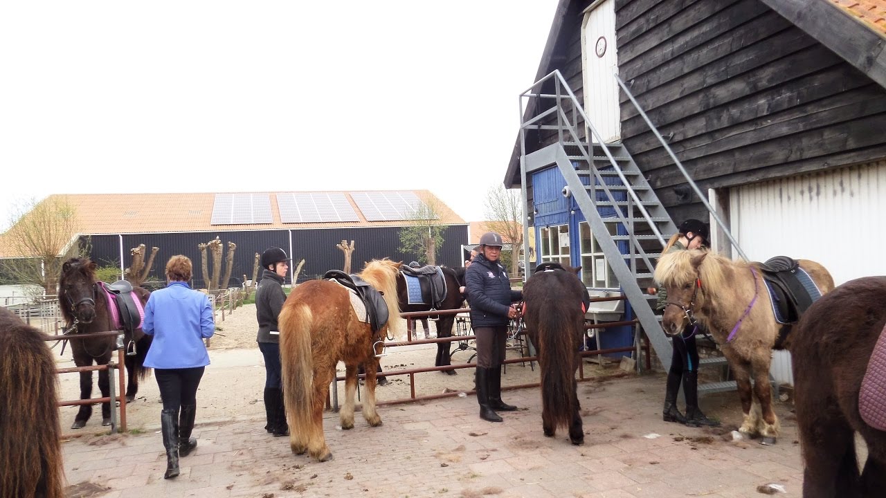 Manege De IJslander Biggekerke-8 april 2017