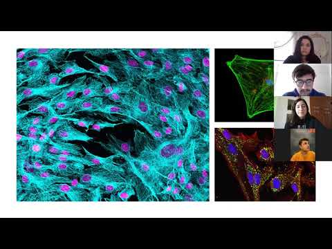 Video: Lazer taramalı konfokal mikroskop nasıl çalışır?