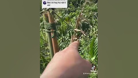 Béc SKY41 Đã Được Kiểm Nghiệm 5 Năm Vẫn Dùng Tốt Thiết Bị Tưới Gia Nông