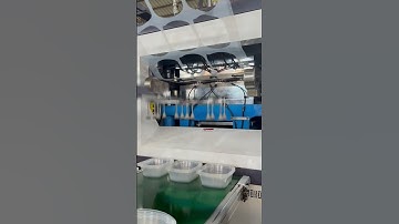 Plastic Thin Wall PP Food Container Thermoforming Machine