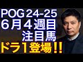 【POG/24-25】６月４週目デビューの注目新馬を紹介【ドラフト１位！藤田オーナーの大物候補が出世レースに登場！】