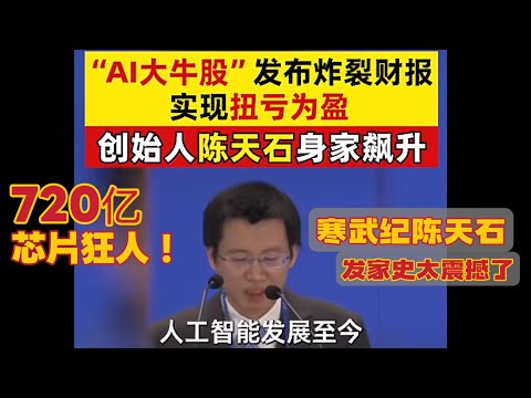 720亿芯片狂人！寒武纪陈天石发家史太震撼 #寒武纪 #AI芯片