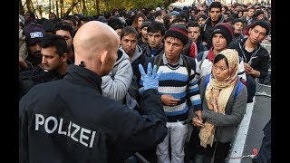 Закон о миграции примут в Германии: Зеехофер надеется, что нелегальной миграции станет меньше