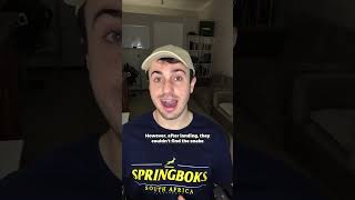 Snakes On A Plane In South Africa  shorts