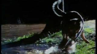 Violet Crumble (Australian ad) 1990