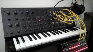 MY MS-20 HAS LOST ITS MIND