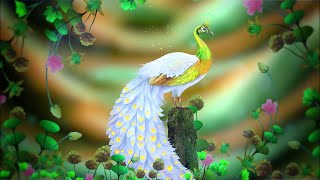 4K Video | Beautiful Peacock 🦚 Loop | No Copyright Background Video | No Copyright Stock Video
