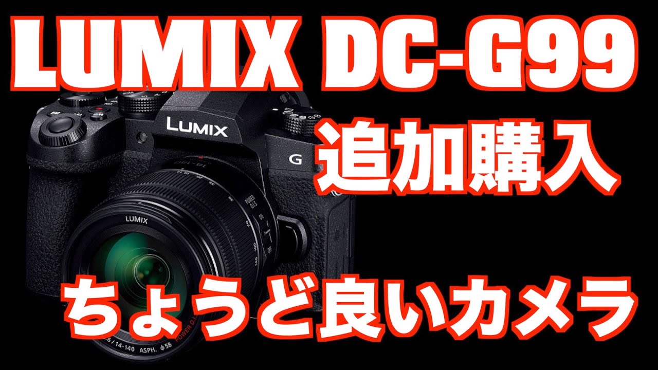 Panasonic LUMIX DC G99 追加購入しました ちょうど良いカメラです