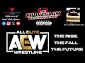 AEW Wrestling: The Rise, The Fall, and The Future! Ep#224