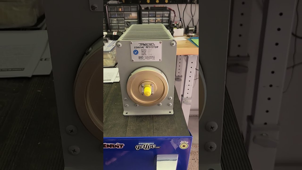 Bird Termaline for the shack