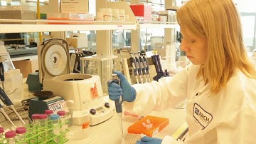 Journey of a sample, part 3