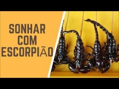 Escorpião Significado de Sonhar com Escorpião - YouTube significado dos sonhos magos da luz