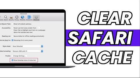 How to Clear your Cache on Safari (macOS)