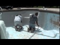 Fiberglass Swimming Pool Repair and Refinishing - Accent Fiberglass Services