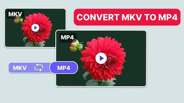 How to Convert MKV to MP4 in Seconds (FREE & EASY!)