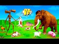 Siren head vs mammoth elephant fight  farm animals  surprise egg  wild animals 3d cartoons fights