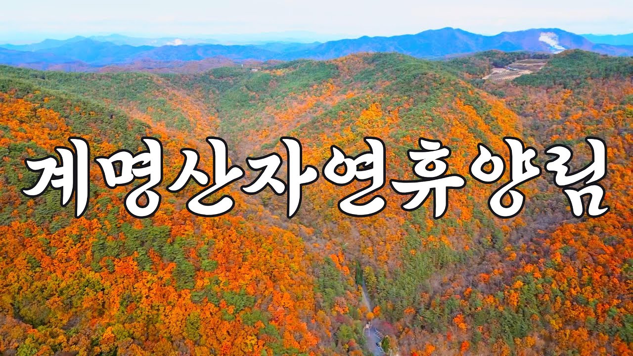 안동 계명산자연휴양림